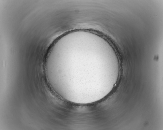 X0000089891497200707262219