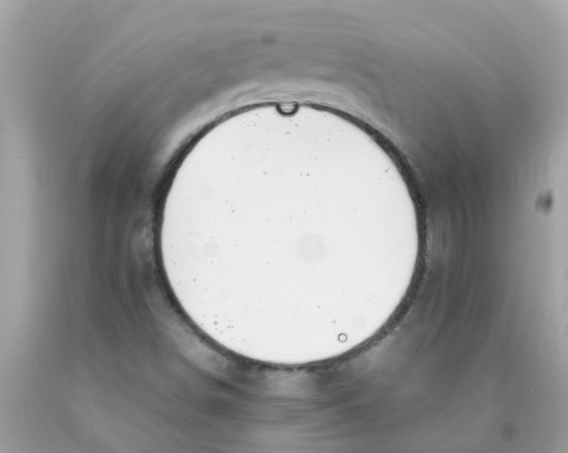 X0000089891498200707262219