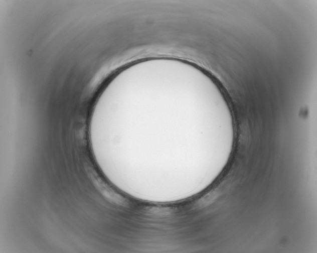 X0000089891499200707262219