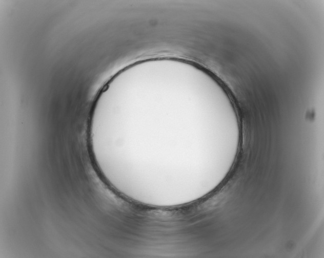 X0000089891500200707262219