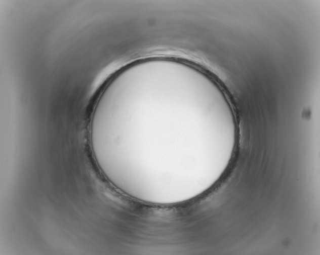 X0000089891501200707262219