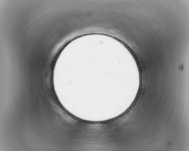 X0000089891502200707262219