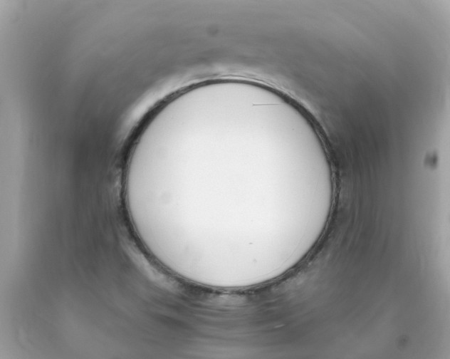 X0000089891503200707262219