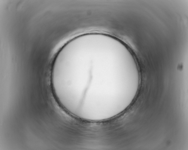 X0000089891504200707262219