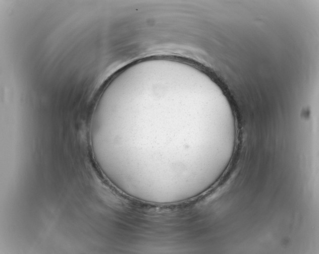 X0000089891505200707262219