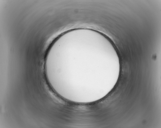 X0000089891507200707262219