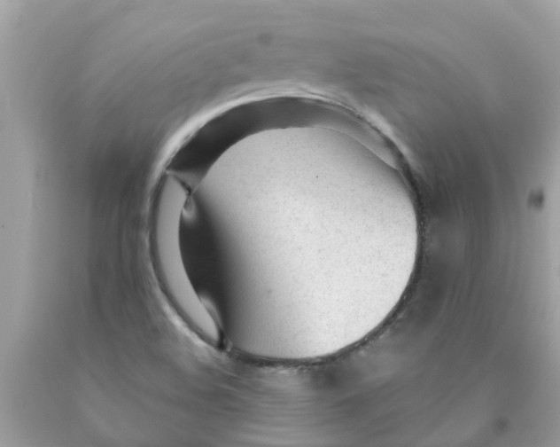 X0000089891508200707262219