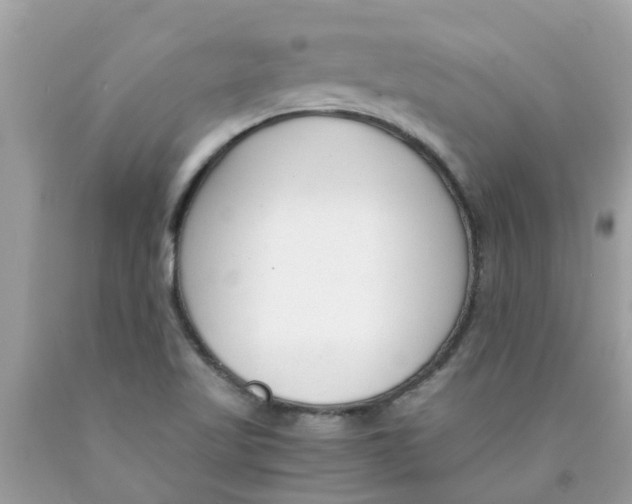 X0000089891509200707262219