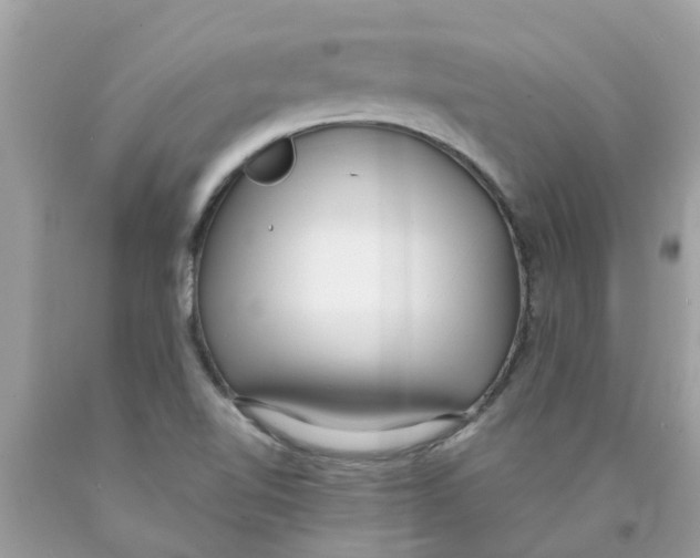 X0000089891510200707262219