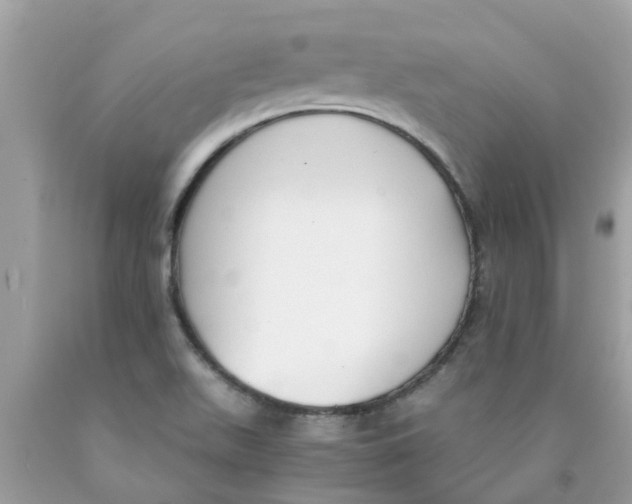 X0000089891511200707262219