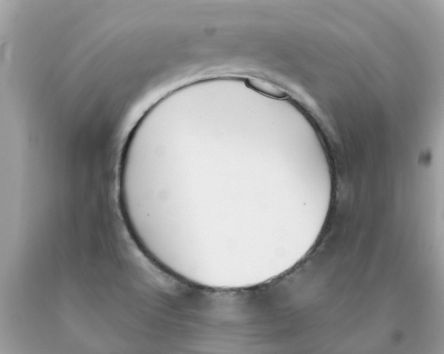 X0000089891512200707262219