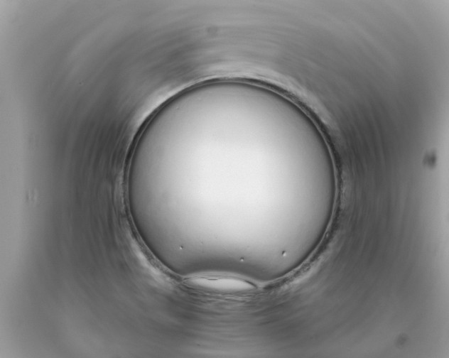 X0000089891513200707262219