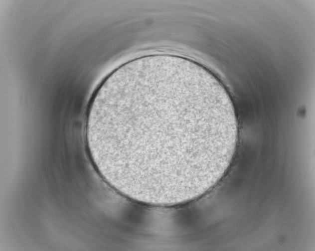 X0000089891514200707262219