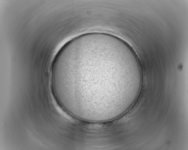 X0000089891515200707262219