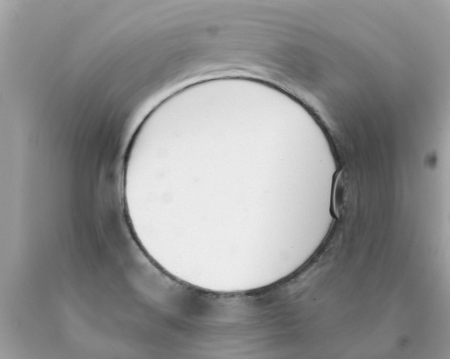 X0000089891516200707262219