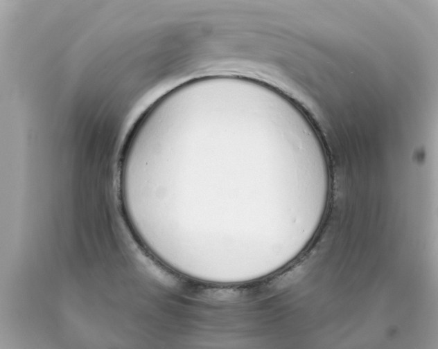 X0000089891517200707262219