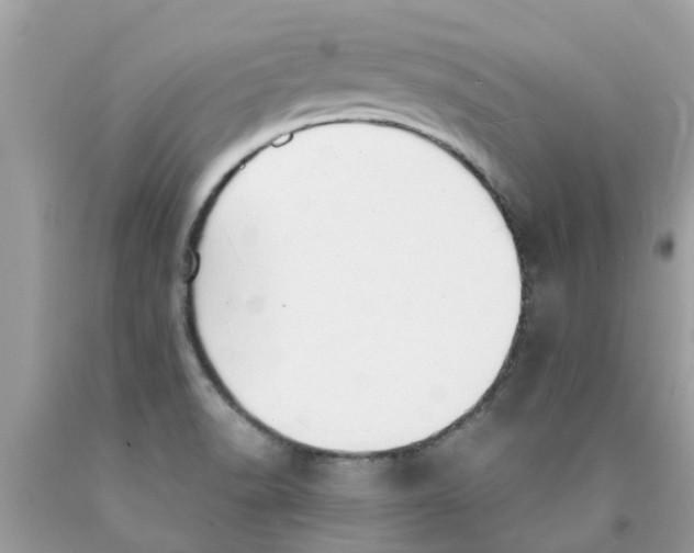 X0000089891518200707262219