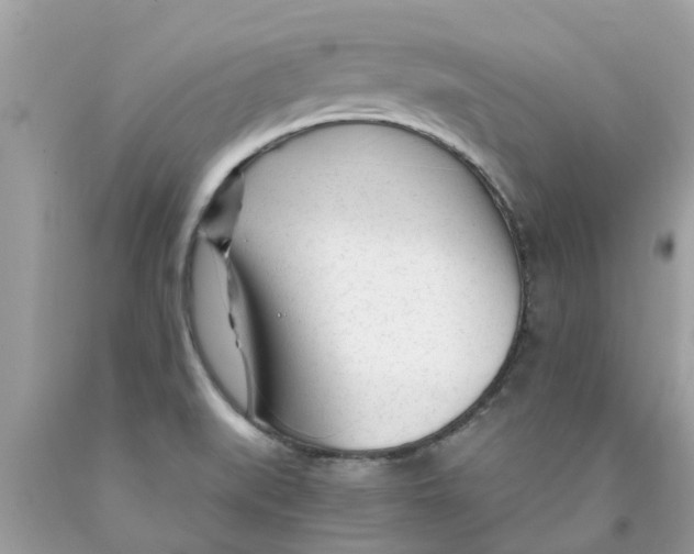 X0000089891519200707262219