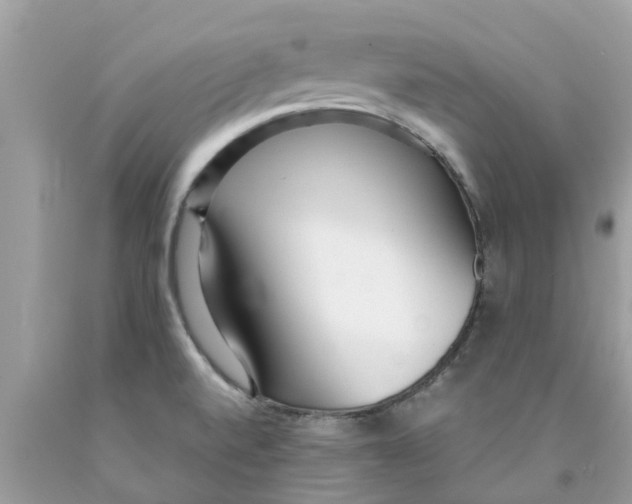 X0000089891520200707262219