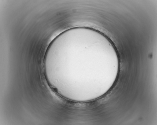 X0000089891521200707262219