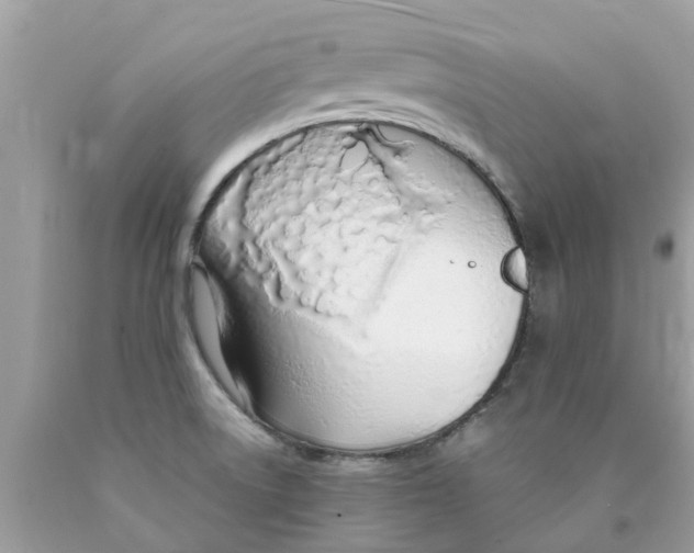 X0000089891522200707262219