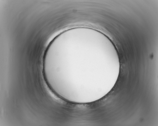 X0000089891523200707262219