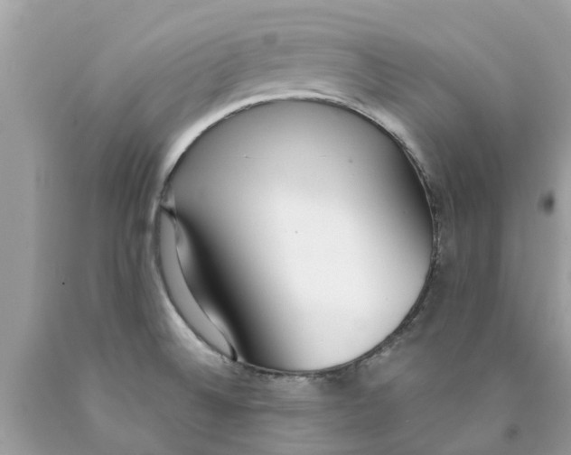 X0000089891524200707262219