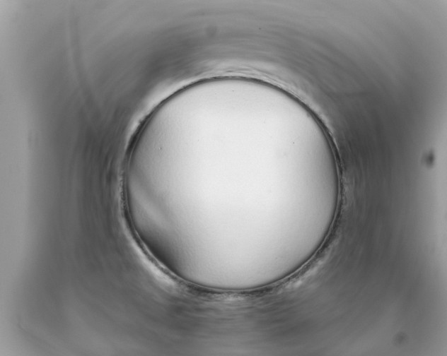 X0000089891525200707262219