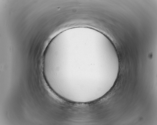 X0000089891526200707262219