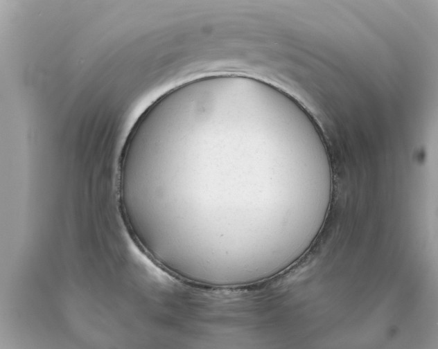 X0000089891527200707262219