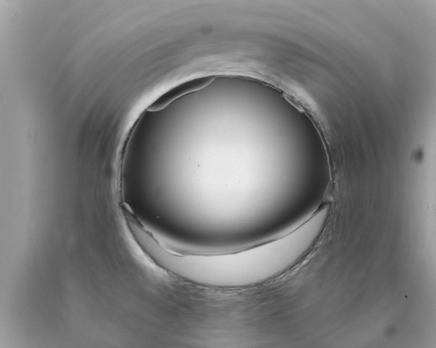 X0000089891528200707262219