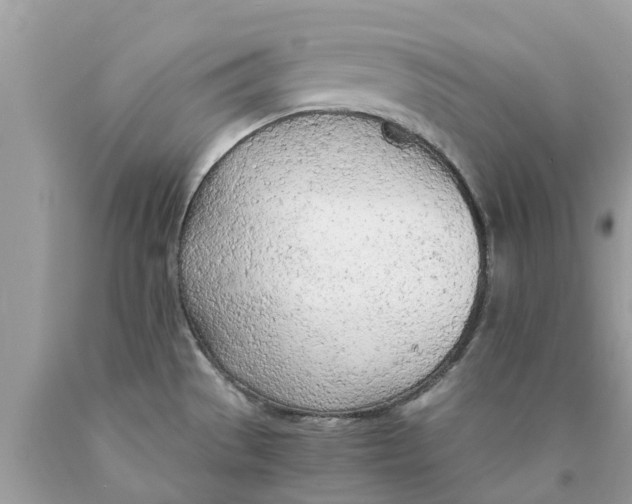 X0000089891529200707262219