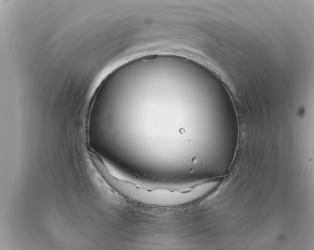 X0000089891530200707262219