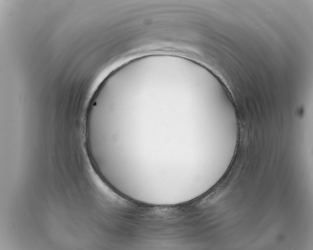 X0000089891531200707262219