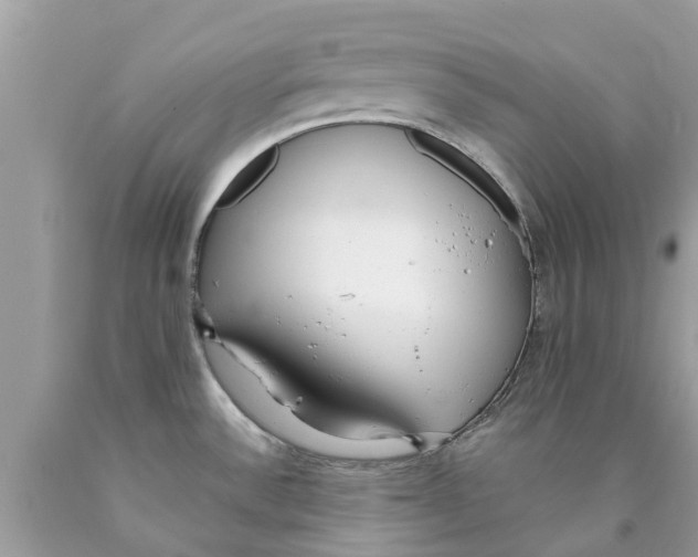 X0000089891532200707262219