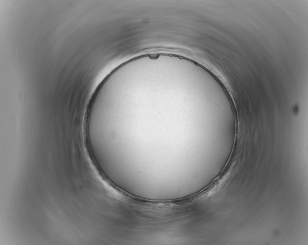 X0000089891533200707262219