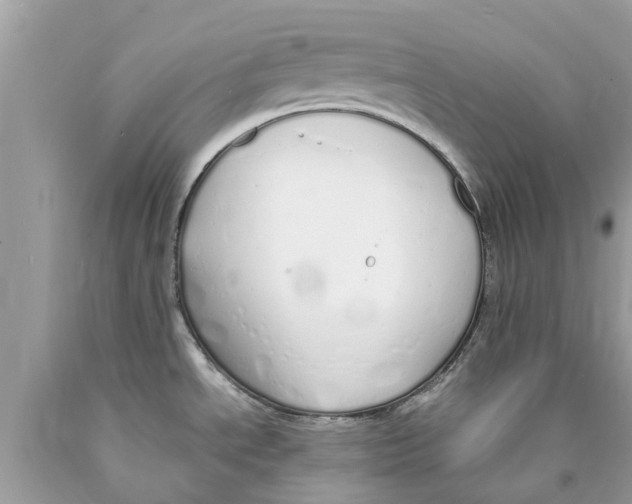 X0000089891534200707262219