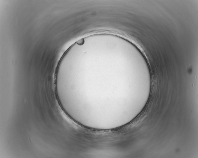 X0000089891535200707262219