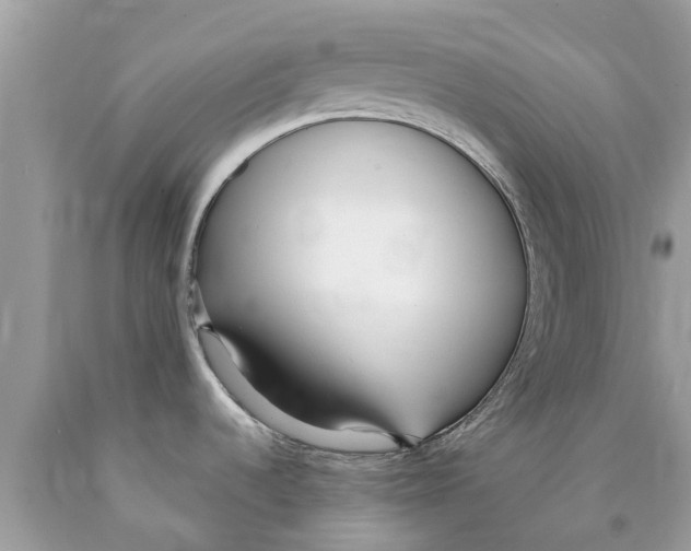 X0000089891536200707262220