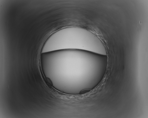 X0000089900003200706281143
