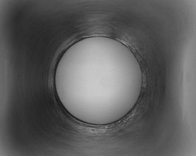 X0000089900004200706281143