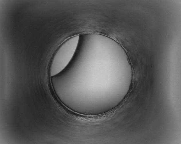 X0000089900005200706281143