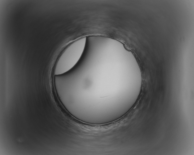 X0000089900006200706281143