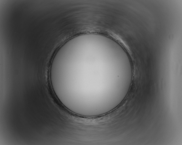 X0000089900010200706281143