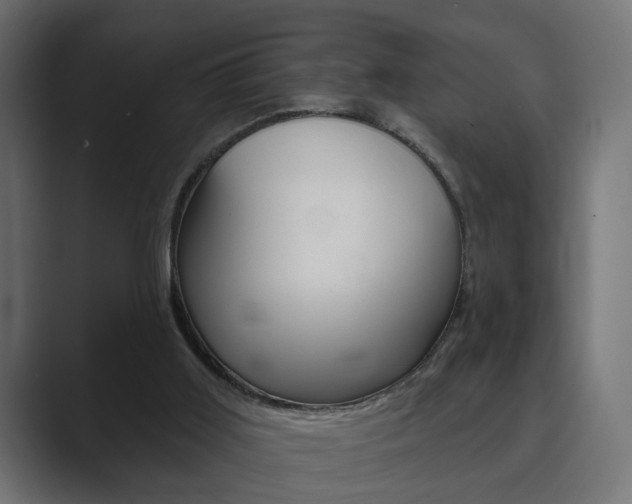 X0000089900011200706281143