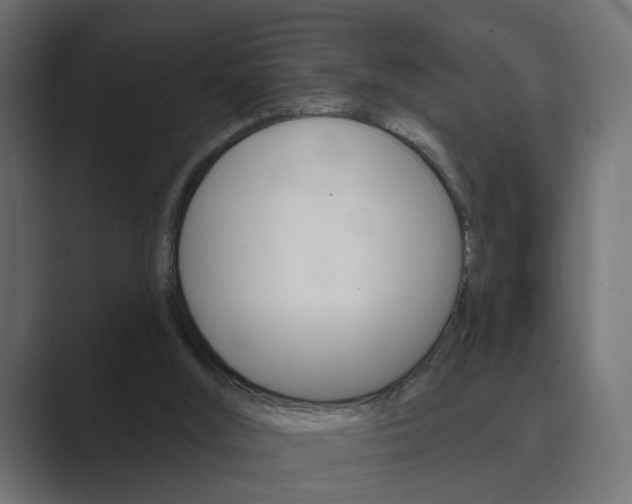 X0000089900012200706281143