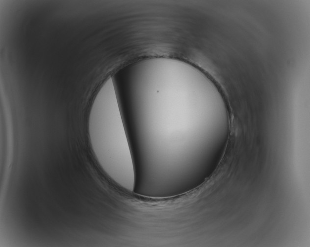 X0000089900013200706281143