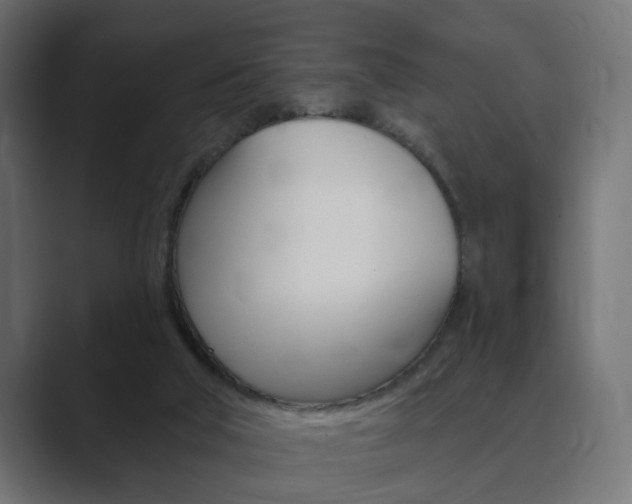 X0000089900018200706281143