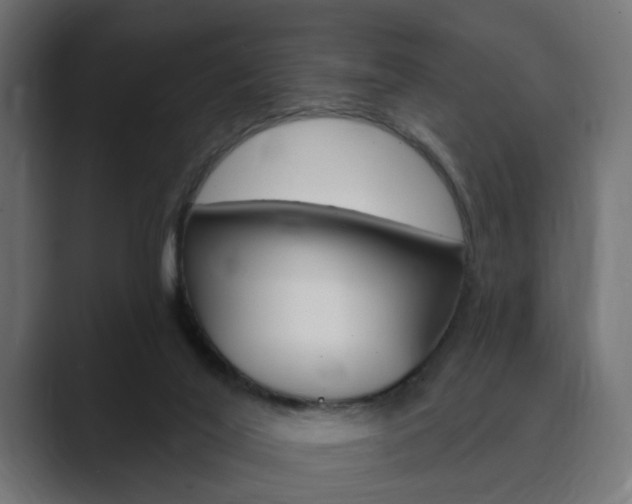 X0000089900020200706281143