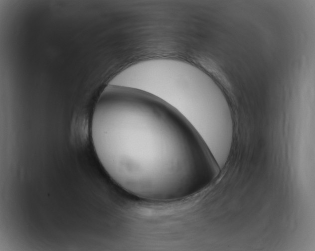 X0000089900021200706281143